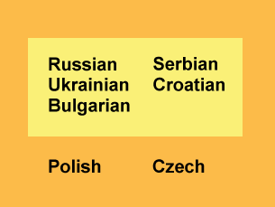 The slavic language family
