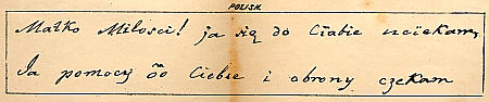 Sample of Mezzofanti's handwriting in Polish : Click to enlarge picture