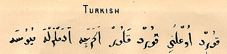 Sample of Mezzofanti's handwriting in Turkish : Click to enlarge picture